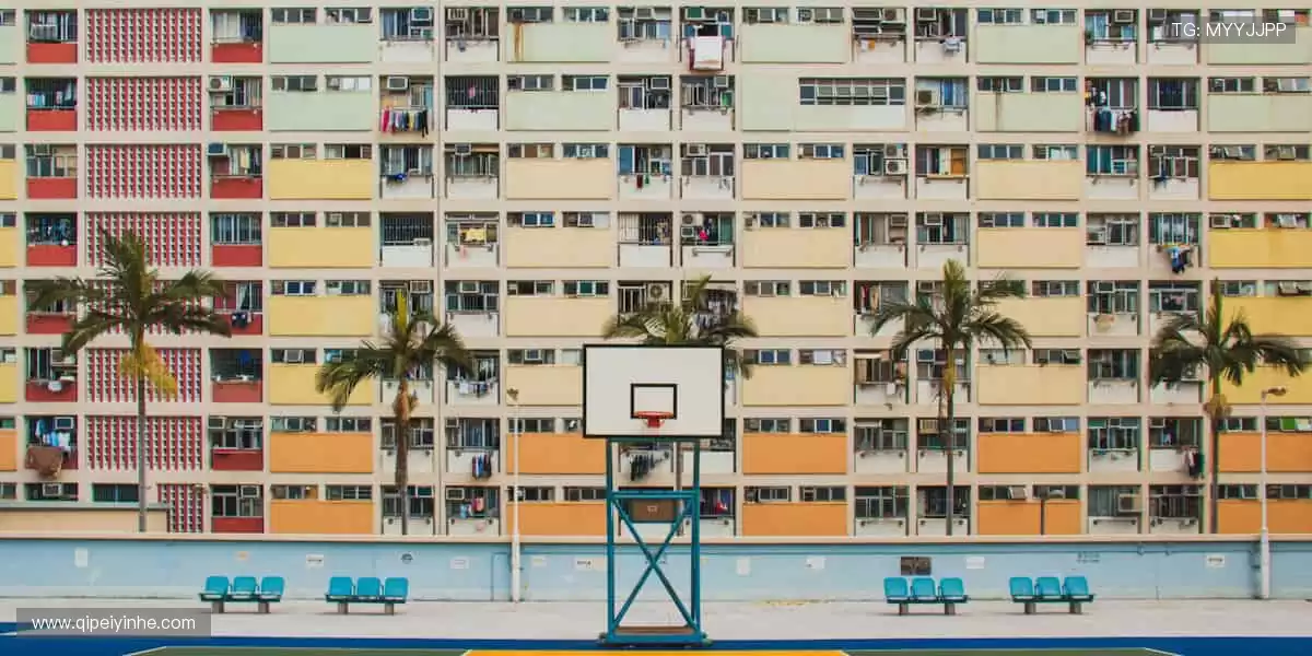 「热血赛场，每一秒都值得尖叫！🏆立即锁定，见证冠军诞生！」